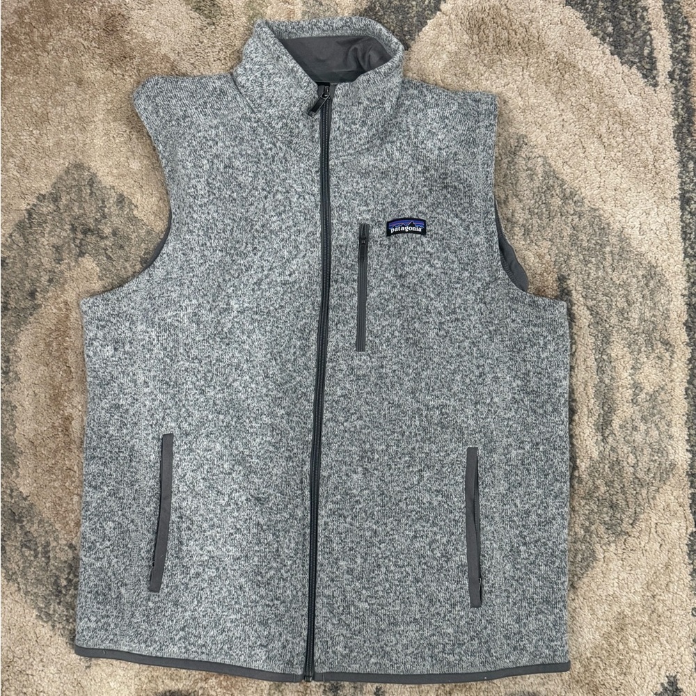 Men's Patagonia Vest